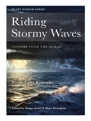 cover image of Riding Stormy Waves